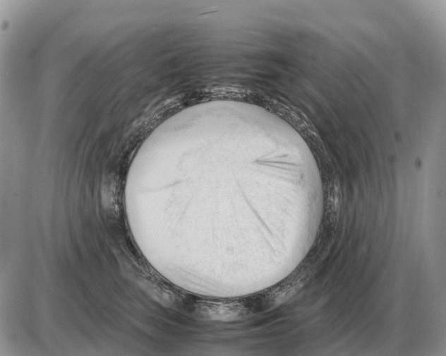 X0000086060663200704202102