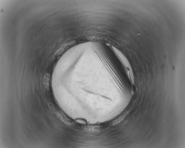 X0000086060664200704202102