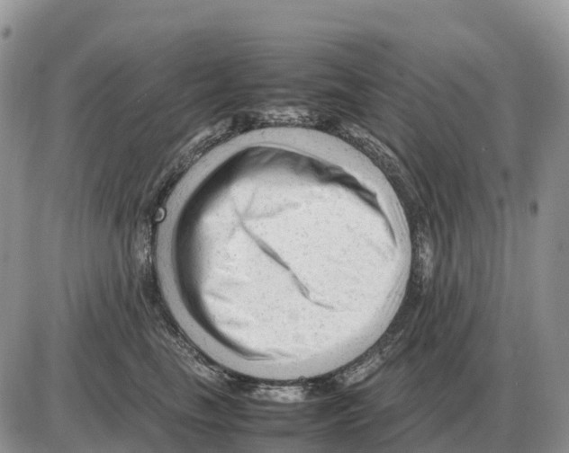 X0000086060665200704202102