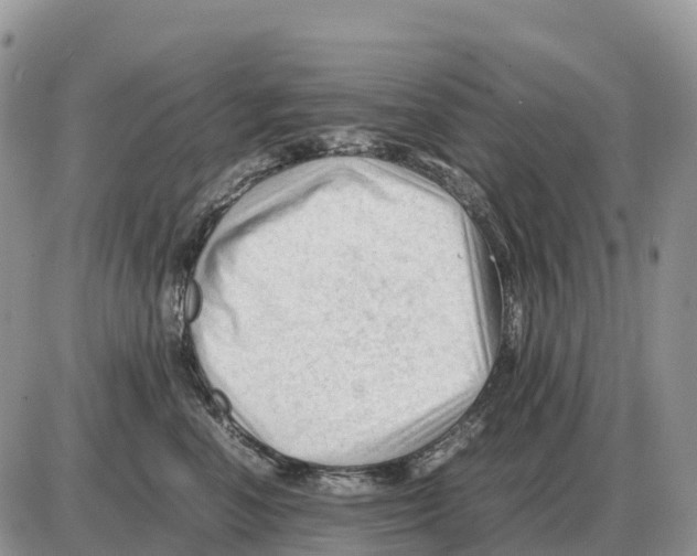 X0000086060666200704202102