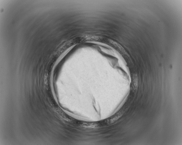 X0000086060667200704202102