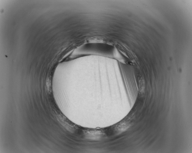 X0000086060669200704202102