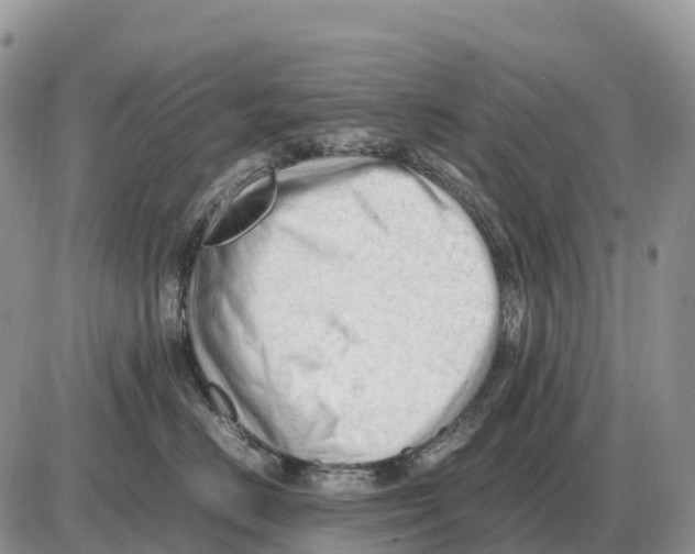 X0000086060670200704202102