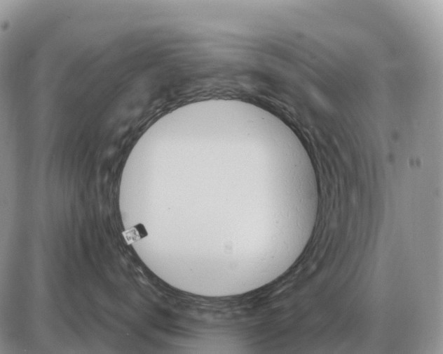 X0000086060672200704202102