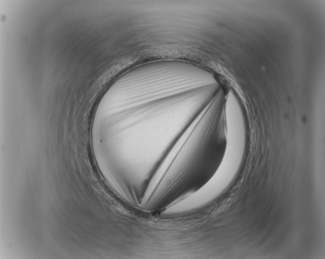 X0000086060673200704202101