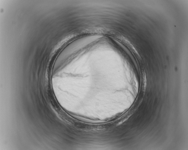 X0000086060674200704202101