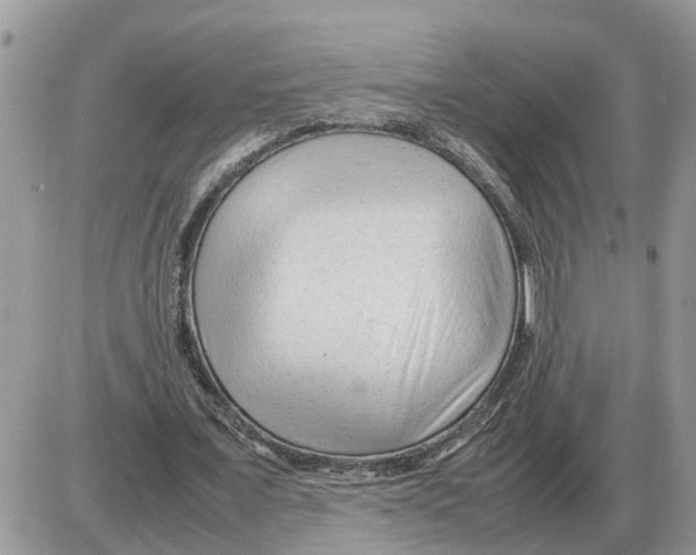 X0000086060675200704202101