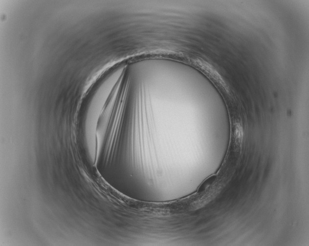 X0000086060676200704202101