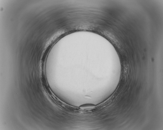 X0000086060678200704202101