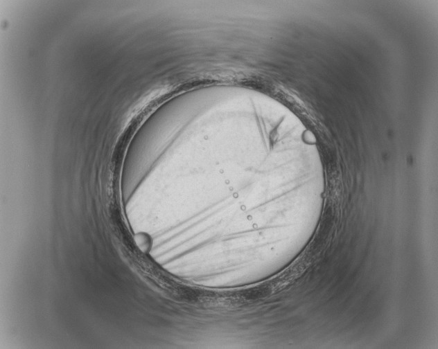 X0000086060679200704202101