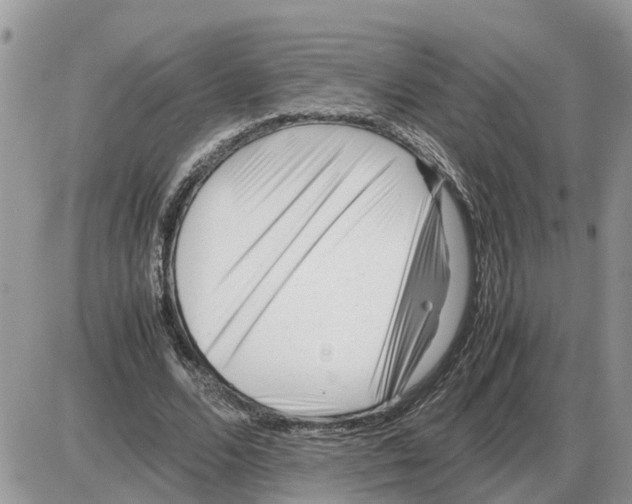 X0000086060680200704202101