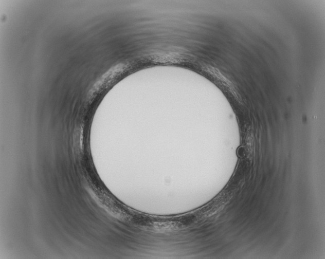 X0000086060686200704202101