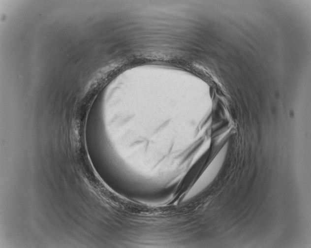 X0000086060688200704202101