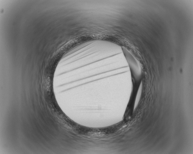 X0000086060689200704202101