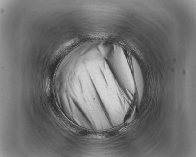 X0000086060692200704202101