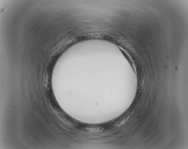 X0000086060693200704202101