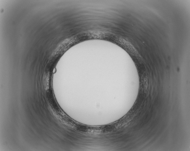 X0000086060694200704202101