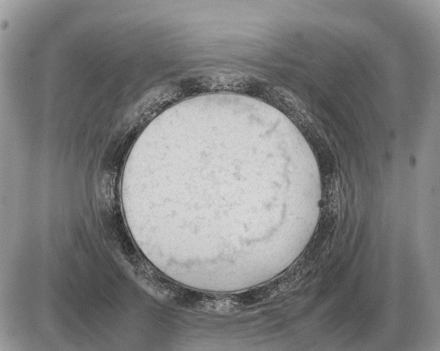 X0000086060695200704202101