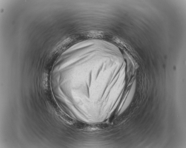 X0000086060696200704202101