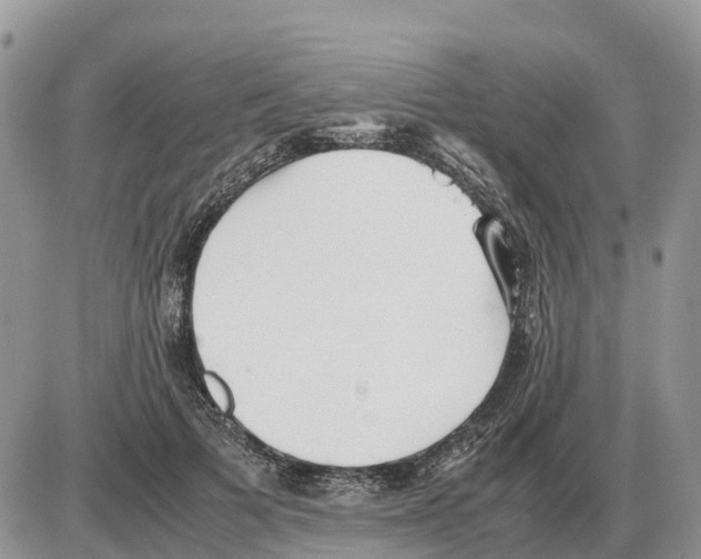 X0000086060697200704202101