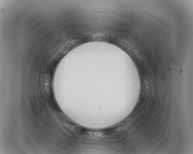 X0000086060698200704202101