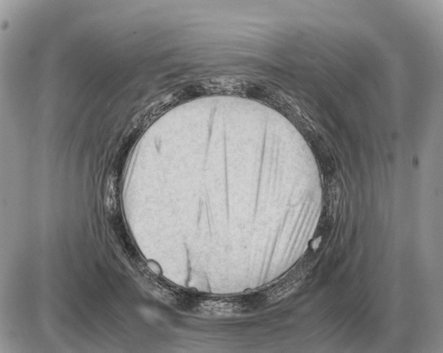 X0000086060699200704202101