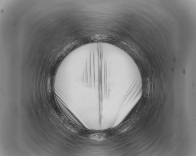 X0000086060700200704202101