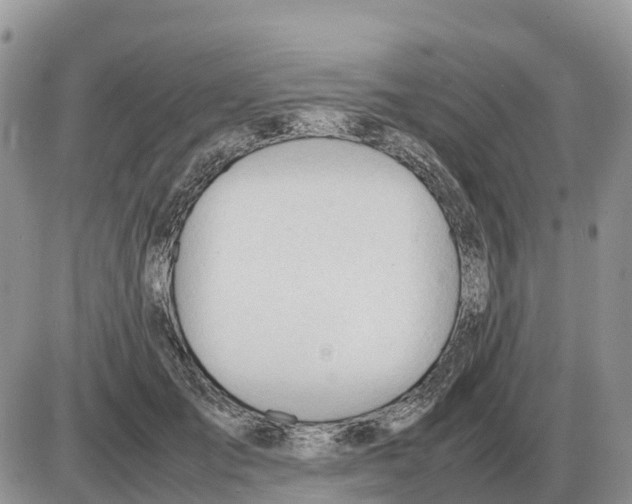 X0000086060701200704202101