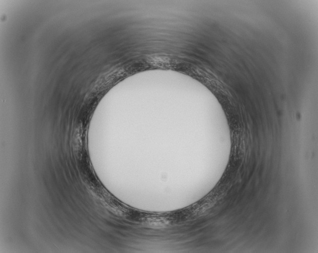 X0000086060702200704202101