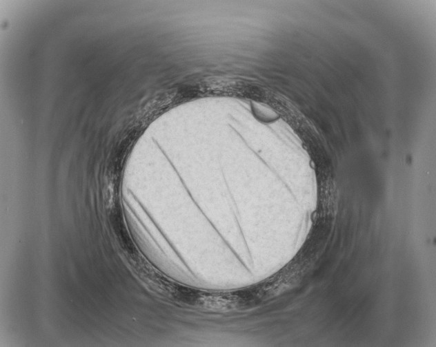 X0000086060703200704202101