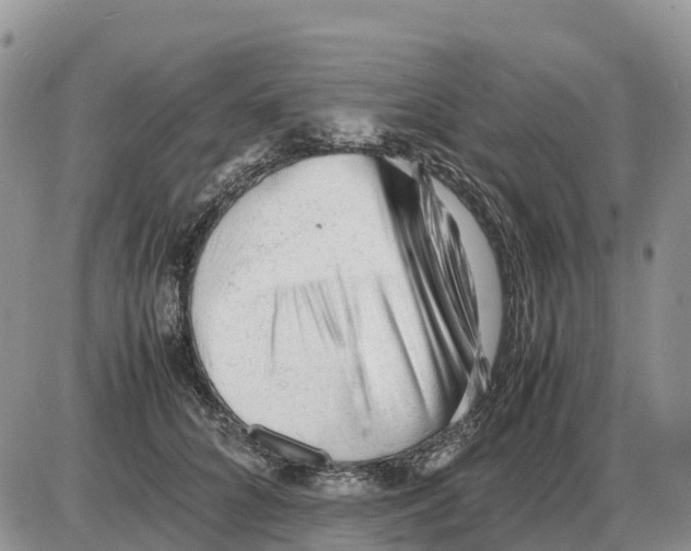 X0000086060704200704202101