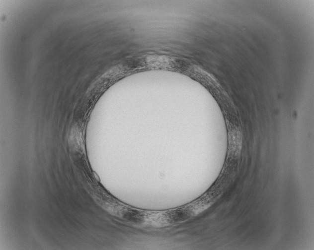 X0000086060705200704202101