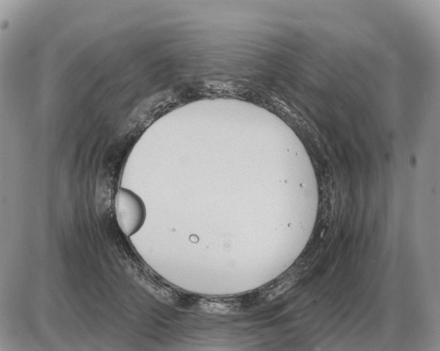 X0000086060706200704202101