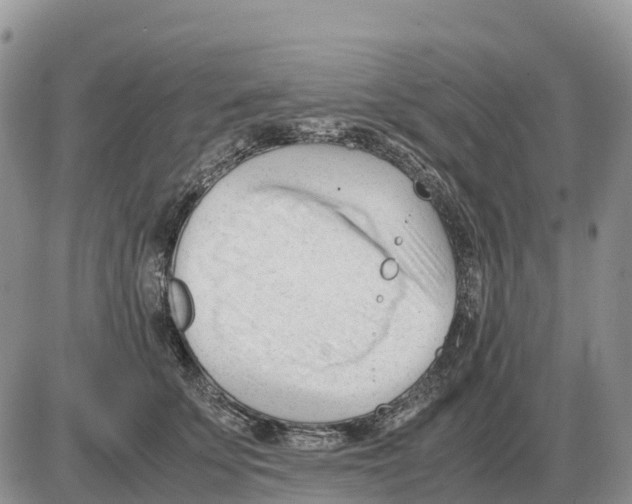 X0000086060707200704202101