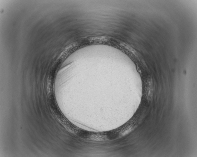 X0000086060708200704202101