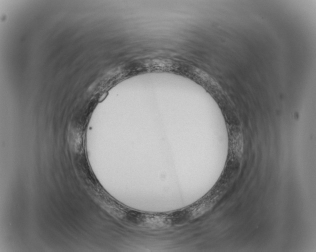 X0000086060709200704202101