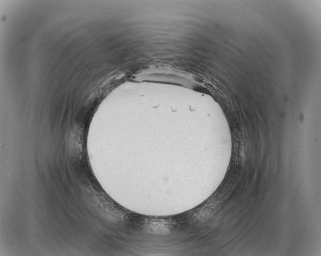 X0000086060710200704202101