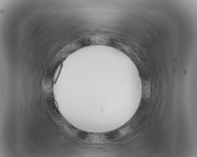 X0000086060713200704202101