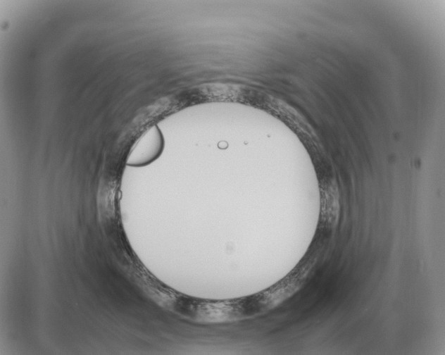 X0000086060717200704202101