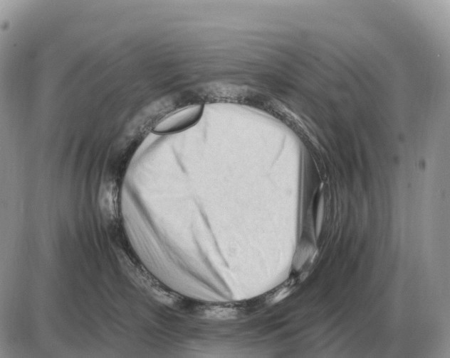 X0000086060718200704202101