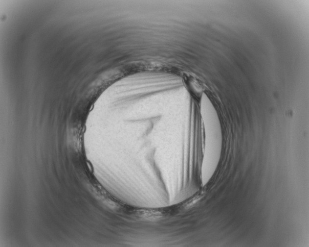 X0000086060719200704202101