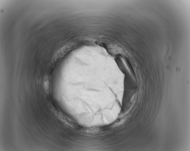 X0000086060720200704202101