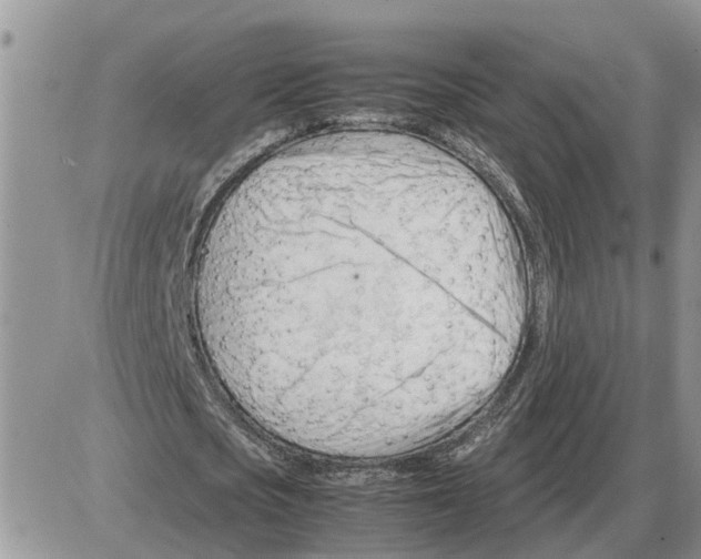 X0000086060721200704202100