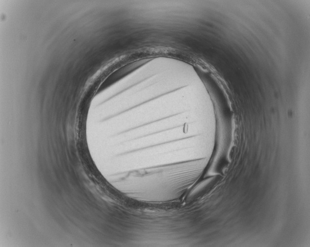 X0000086060722200704202100