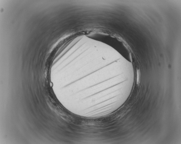 X0000086060723200704202100