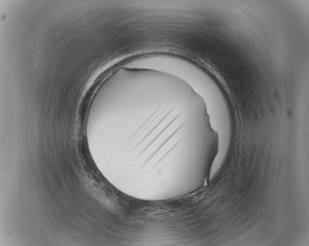 X0000086060724200704202100