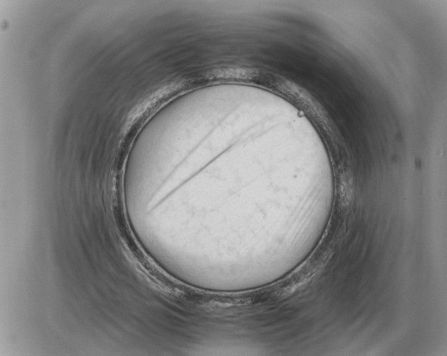 X0000086060725200704202100