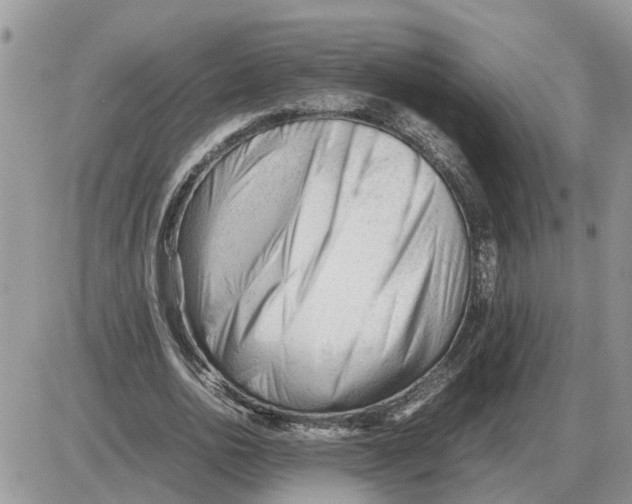 X0000086060726200704202100