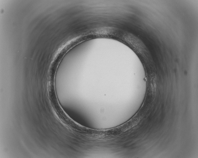 X0000086060728200704202100