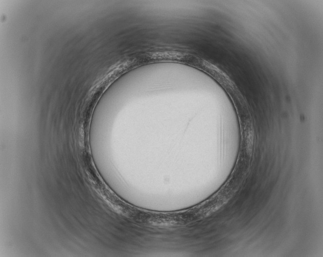 X0000086060729200704202100